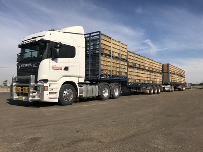 Multiquip Transport Road Train Live Birds